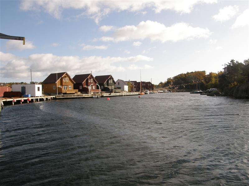 Kris 097097 Vestberg 013 (Medium)_10